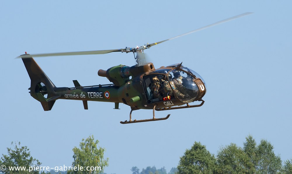 interception-gazelle_3998.jpg