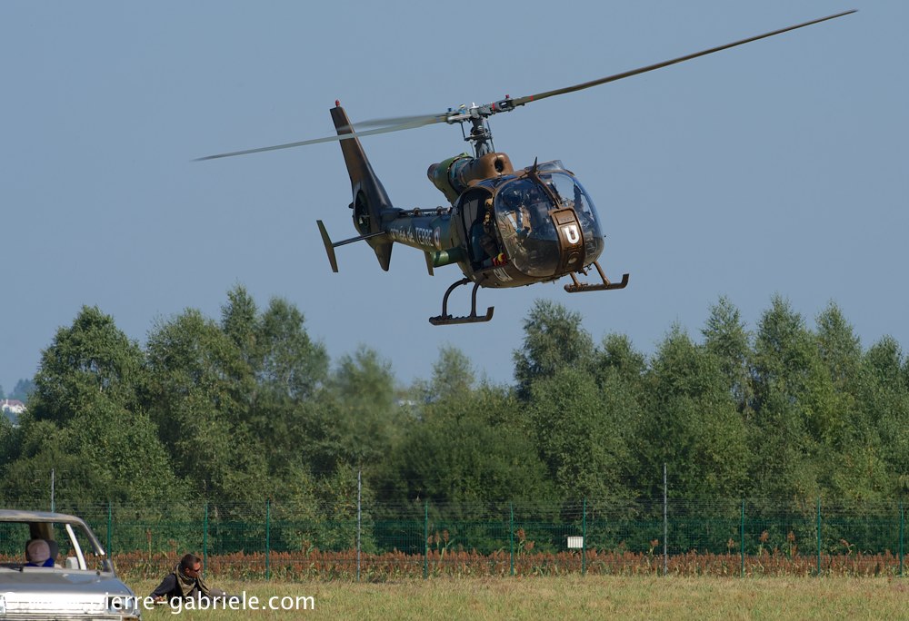 interception-gazelle_3999.jpg