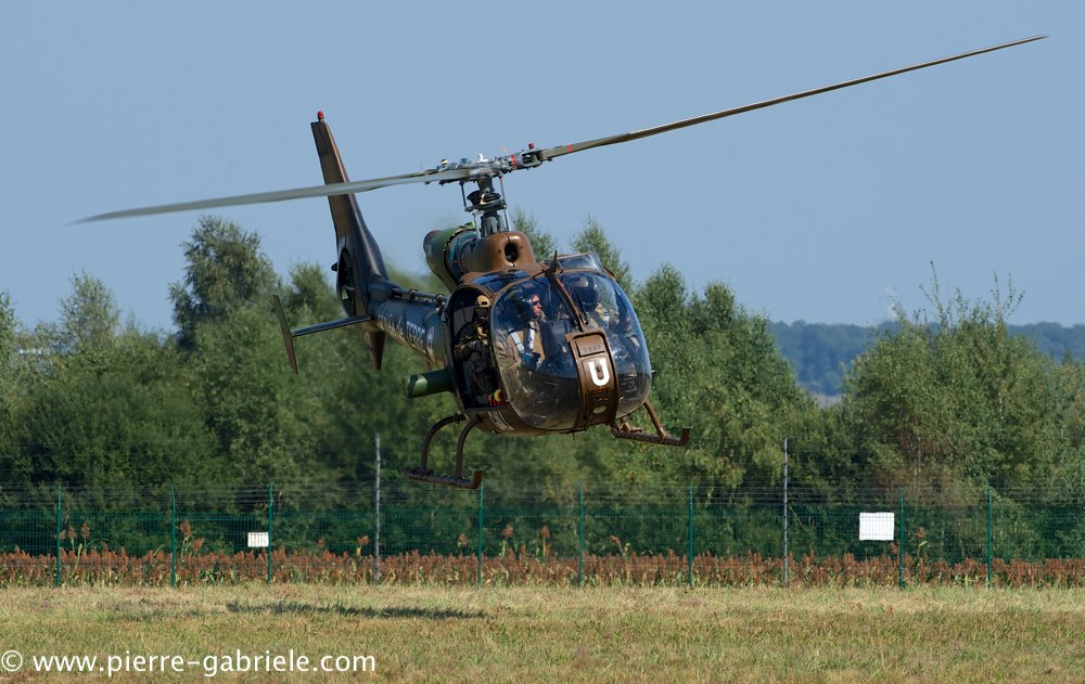 interception-gazelle_4005.jpg
