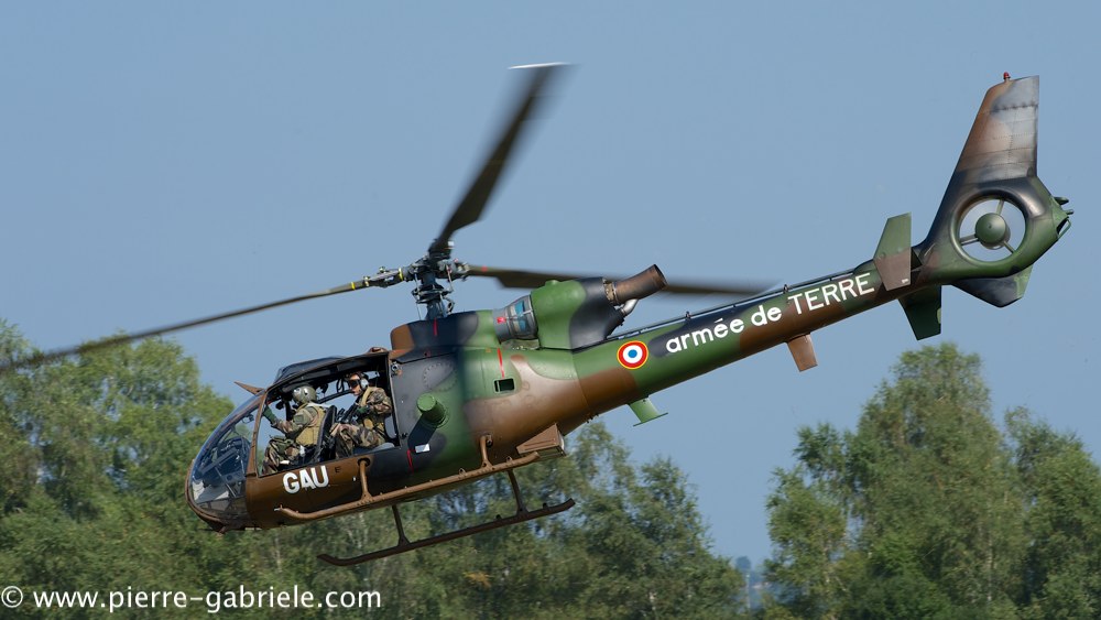 interception-gazelle_4008.jpg