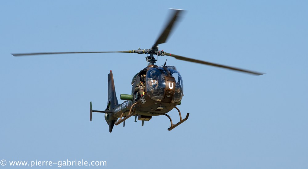 interception-gazelle_4012.jpg