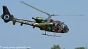 interception-gazelle_3997