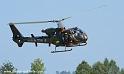 interception-gazelle_3998
