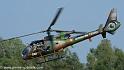 interception-gazelle_4008