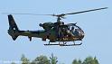 interception-gazelle_4016