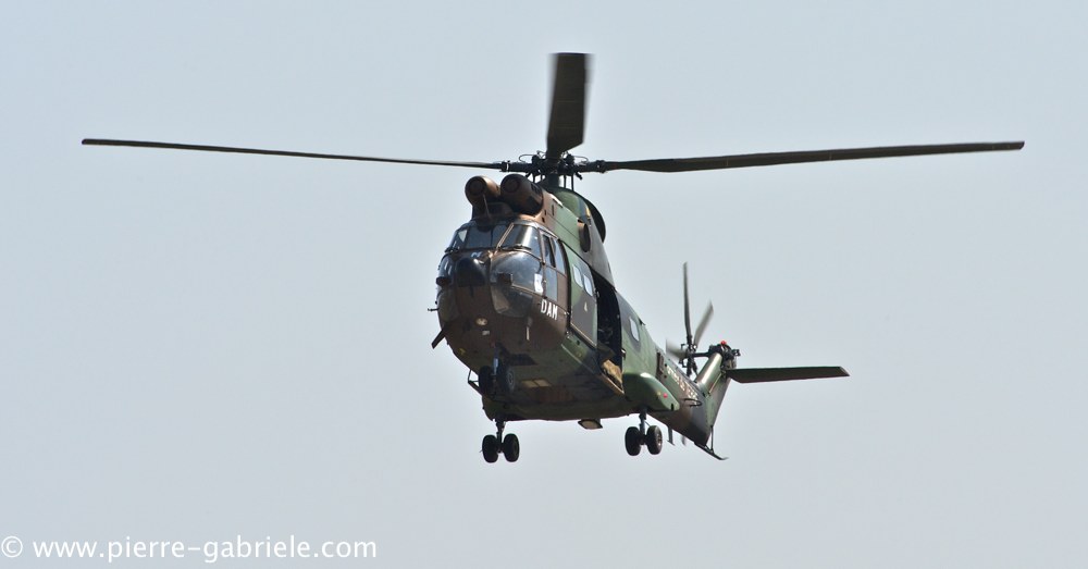 sa330-puma_3929.jpg