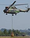 sa330-puma_3945