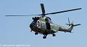 sa330-puma_3950