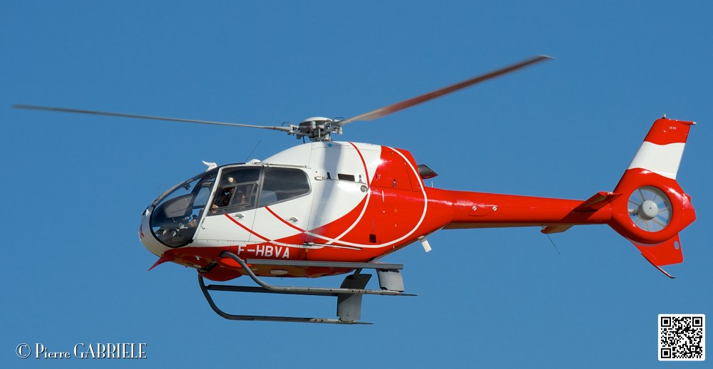 colibri_7407.jpg