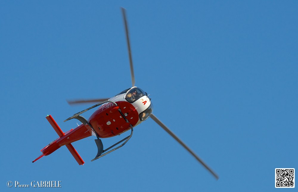 colibri_7413.jpg