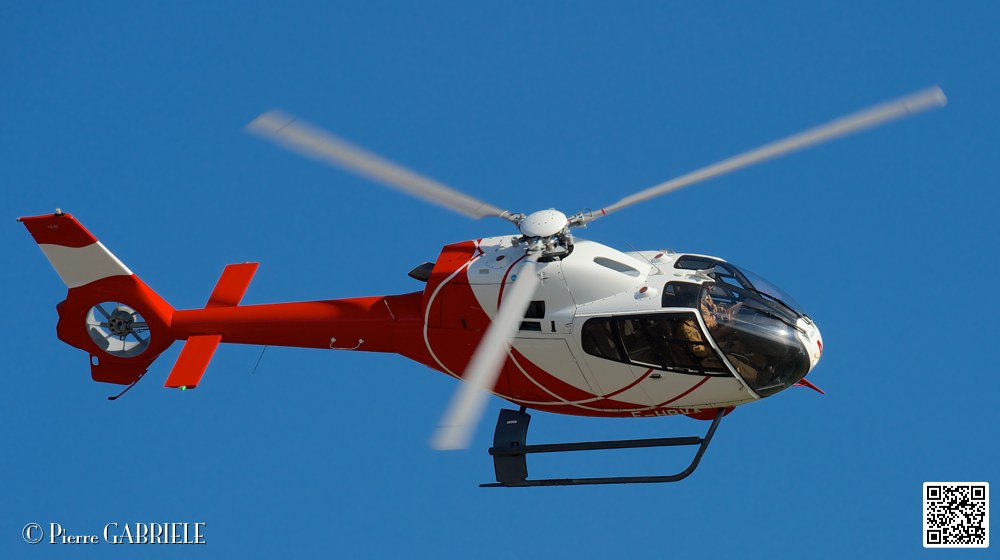 colibri_7414.jpg
