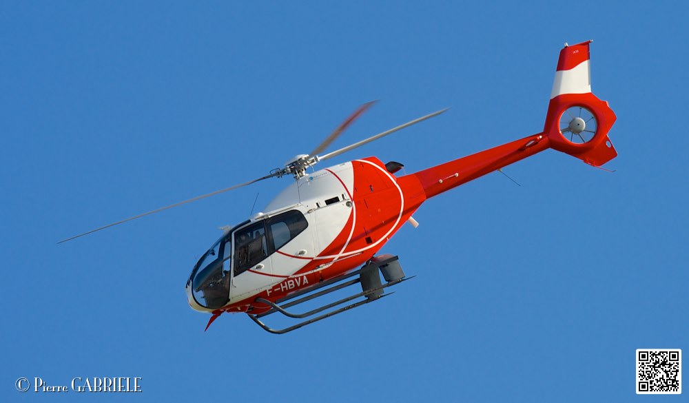 colibri_7419.jpg