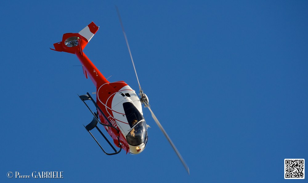 colibri_7424.jpg