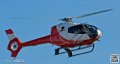 colibri_7409