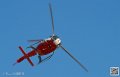 colibri_7413