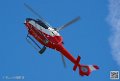 colibri_7416