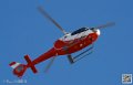 colibri_7423