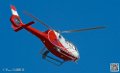 colibri_7429