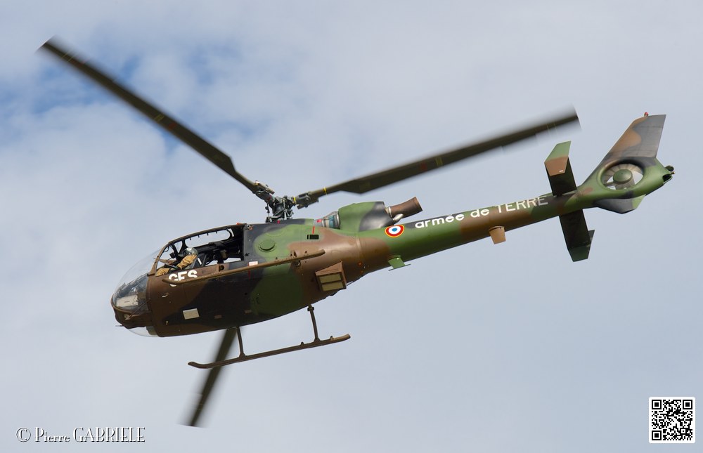 gazelle_7564.jpg