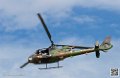 gazelle_7561