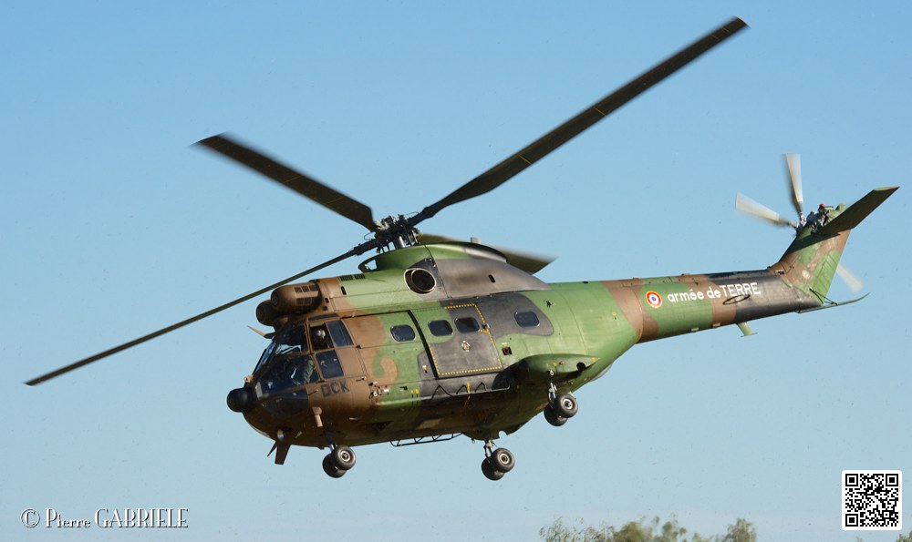 puma_7395.jpg