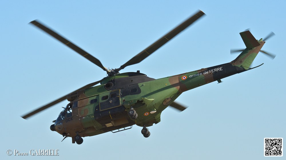 puma_7396.jpg