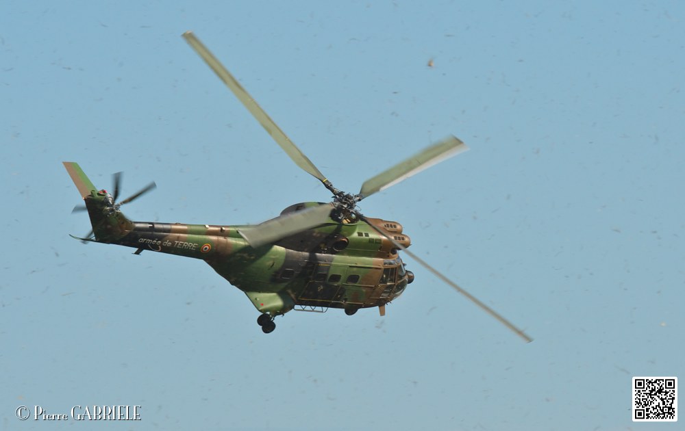 puma_7397.jpg