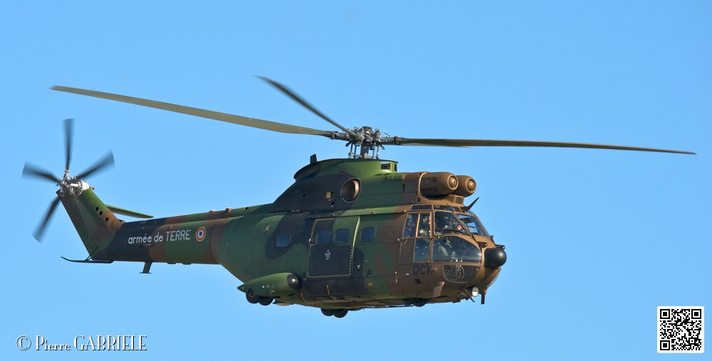 puma_7401.jpg