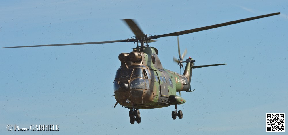 puma_7405.jpg