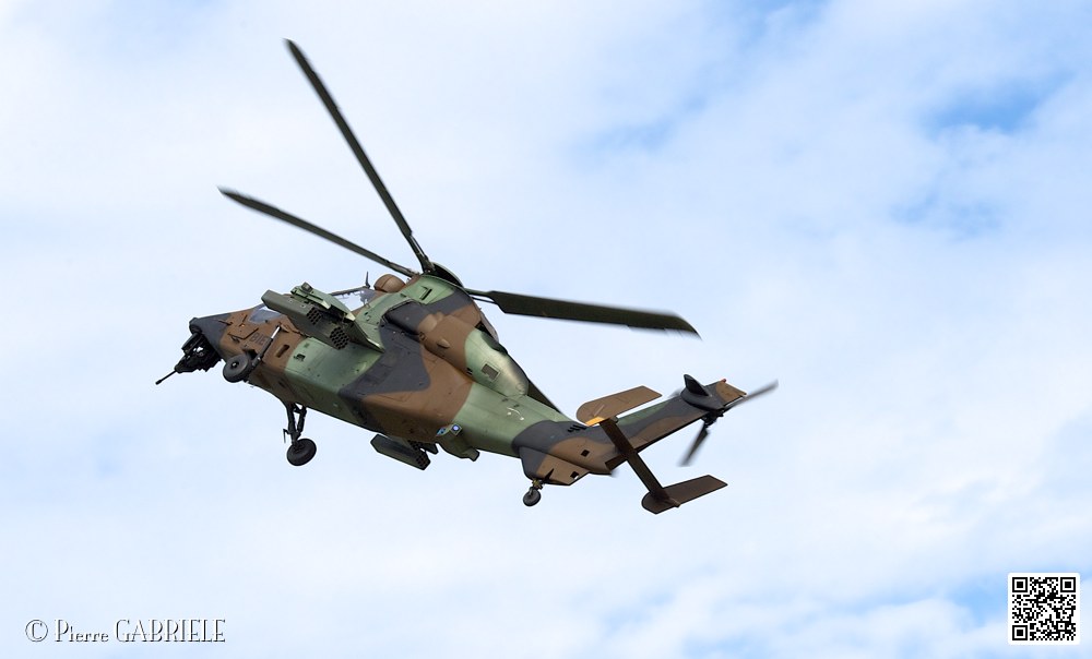 puma-gazelle-tigre_7616.jpg