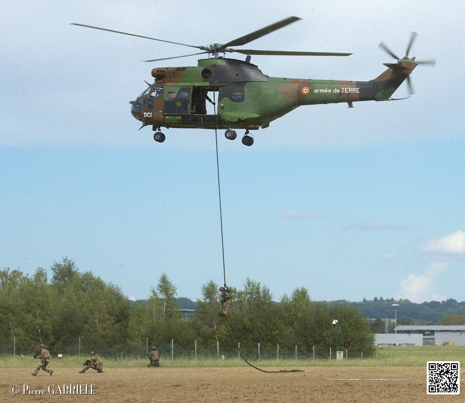 puma-gazelle-tigre_7628.jpg