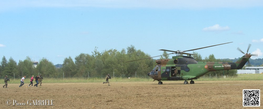 puma-gazelle-tigre_7632.jpg