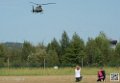 puma-gazelle-tigre_7611
