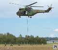 puma-gazelle-tigre_7628