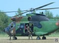 puma-gazelle-tigre_7635
