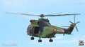 puma-gazelle-tigre_7643