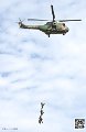 puma-gazelle-tigre_7644