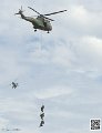 puma-gazelle-tigre_7648
