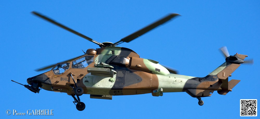 tigre_7434.jpg