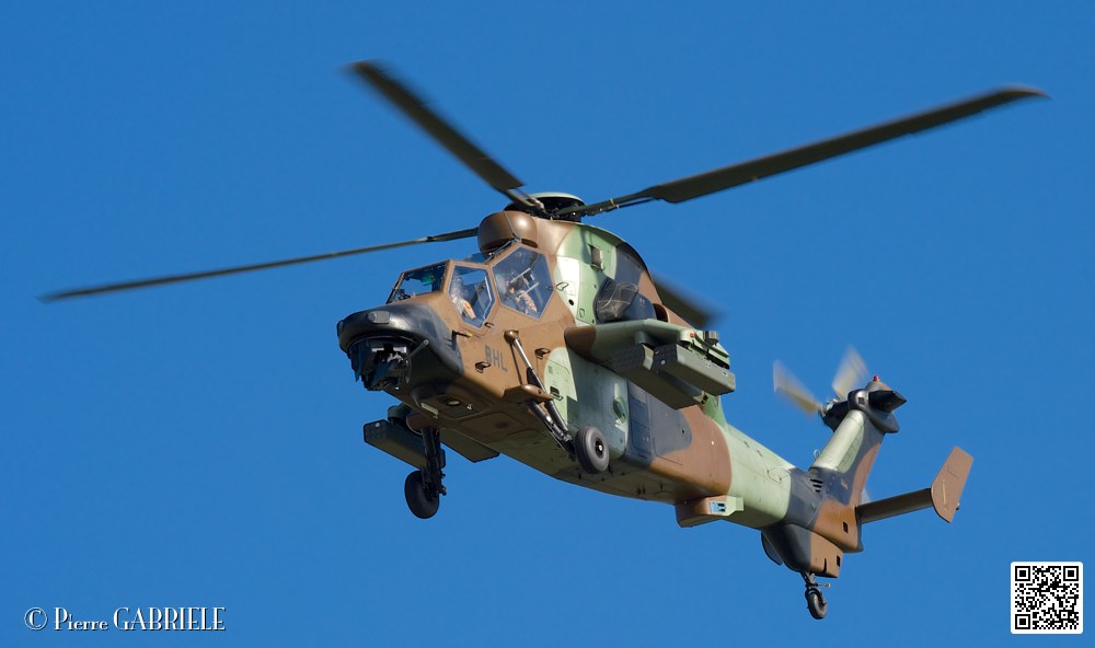 tigre_7435.jpg