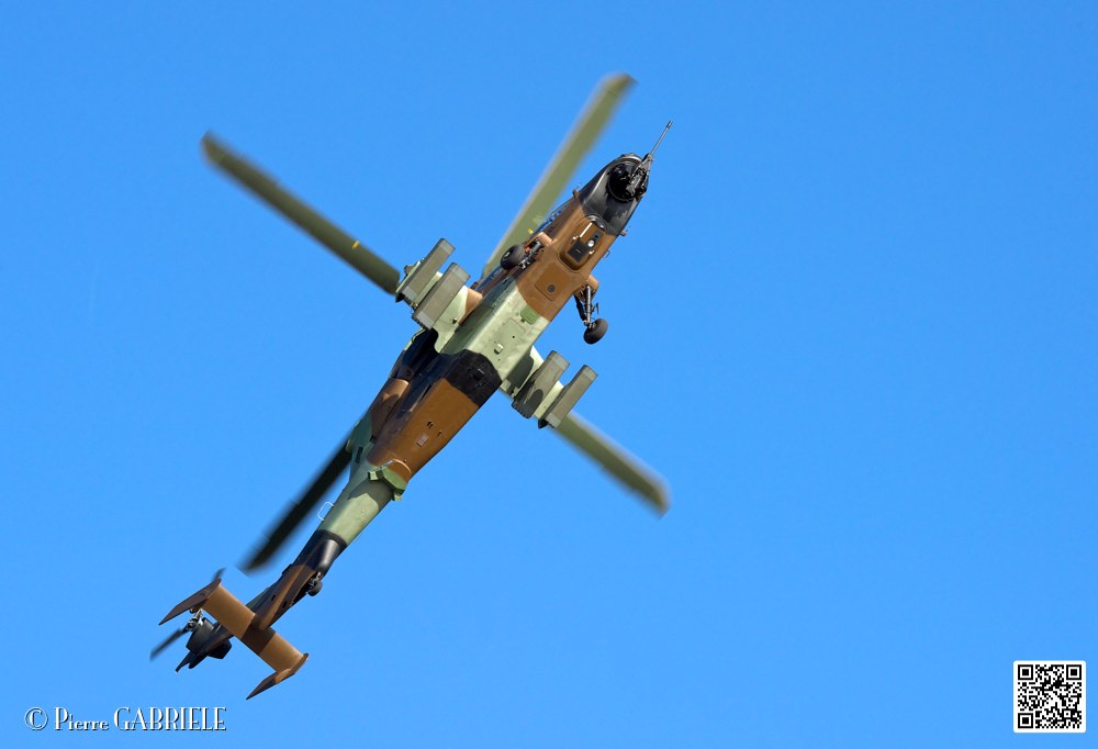 tigre_7438.jpg