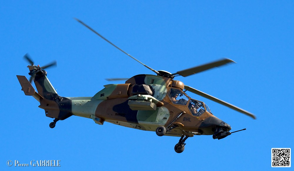 tigre_7442.jpg