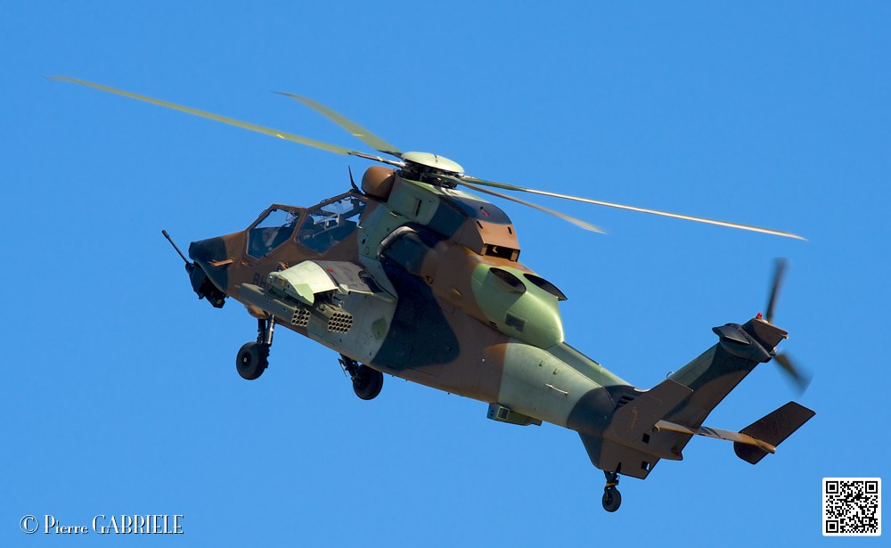 tigre_7446.jpg