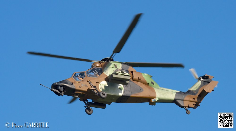 tigre_7448.jpg