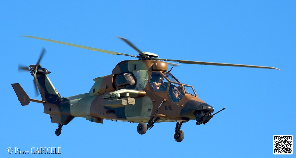 tigre_7450.jpg