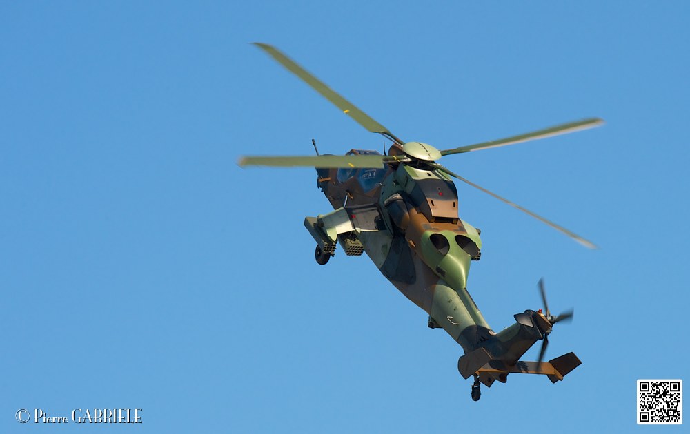 tigre_7455.jpg