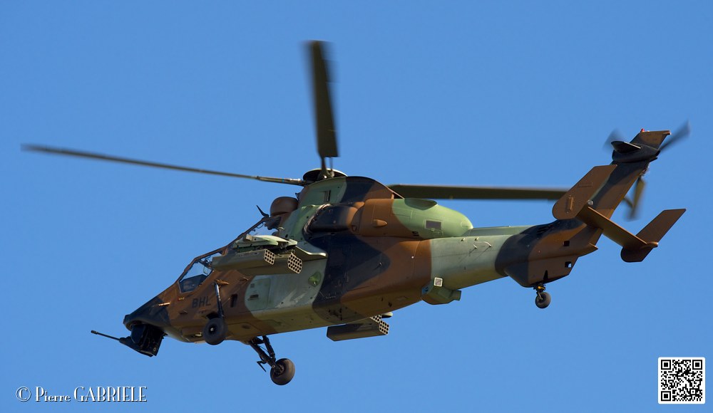 tigre_7457.jpg
