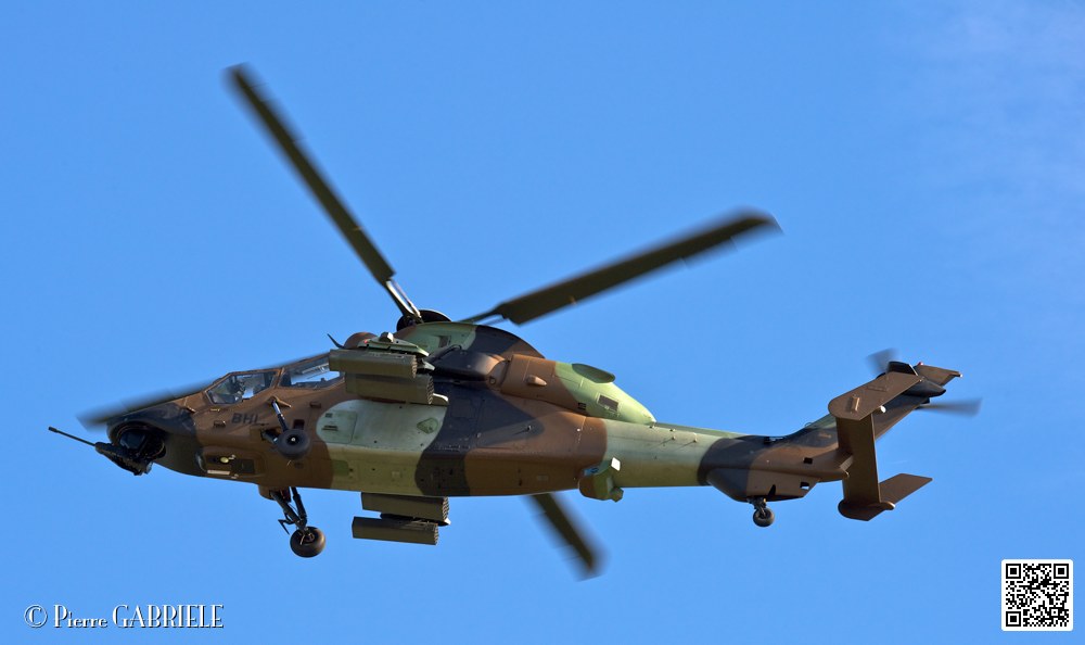 tigre_7458.jpg
