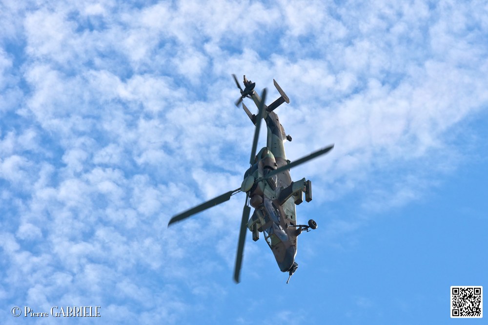 tigre_7459.jpg