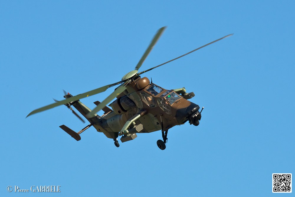 tigre_7463.jpg